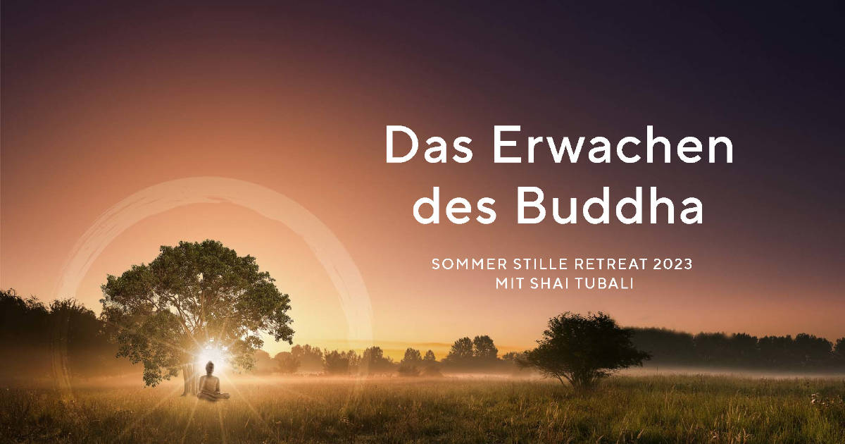 Das Erwachen des Buddha - Stille Retreat mit Shai Tubali