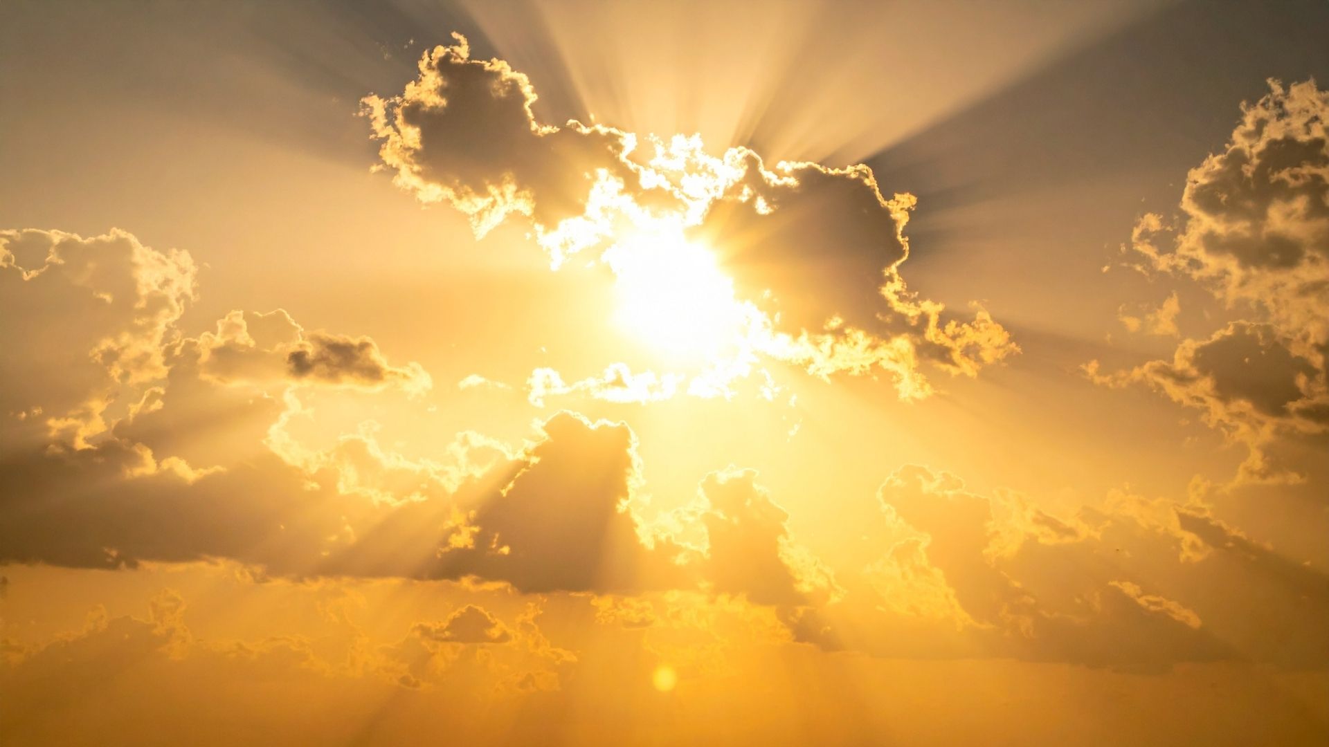 Mindfulness Loving Kindness